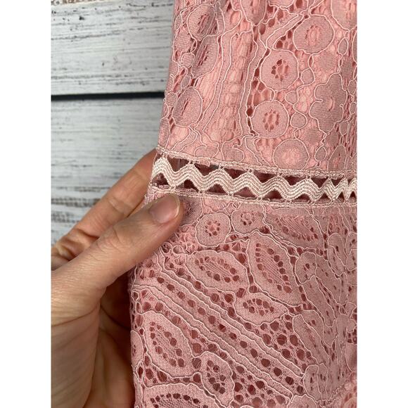 Foxiedox Pink Lace Dress Small High Neck Retro Pinup Boho Fairy Whimsical Formal - Picture 9 of 15